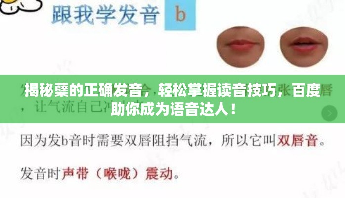 揭秘蘗的正確發音，輕松掌握讀音技巧，百度助你成為語音達人！
