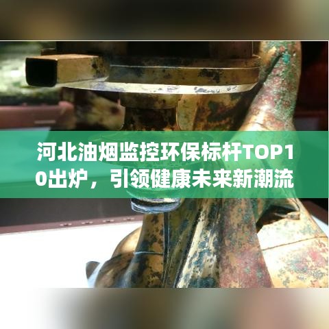 河北油煙監控環保標桿TOP10出爐，引領健康未來新潮流