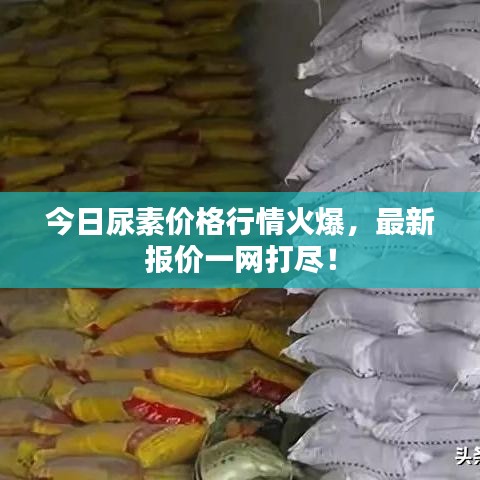 今日尿素價格行情火爆，最新報價一網打盡！