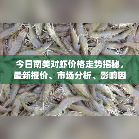 儀表堂堂