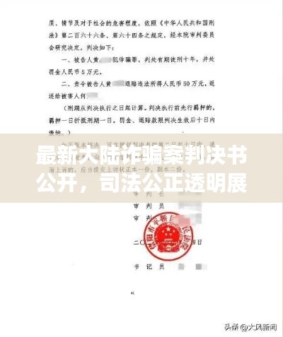 最新大陸詐騙案判決書公開，司法公正透明展現(xiàn)