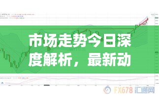 市場走勢今日深度解析，最新動態一網打盡