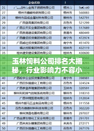 玉林飼料公司排名大揭秘，行業(yè)影響力不容小覷