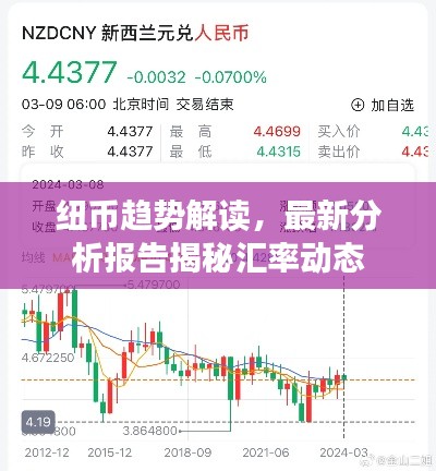紐幣趨勢解讀，最新分析報(bào)告揭秘匯率動(dòng)態(tài)