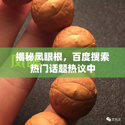 新聞中心 第6頁
