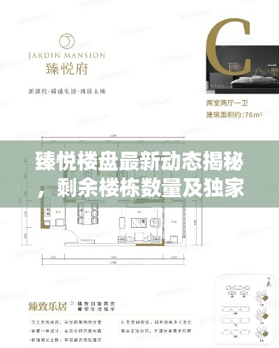 臻悅樓盤最新動態揭秘，剩余樓棟數量及獨家消息速遞