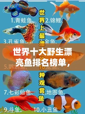世界十大野生漂亮魚排名榜單，驚艷你的眼球！