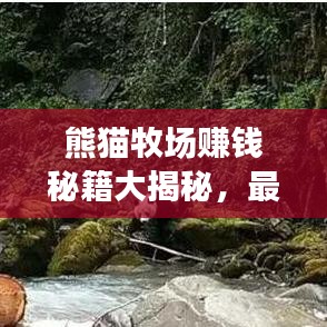 熊貓牧場賺錢秘籍大揭秘，最新攻略助你打造財富牧場！