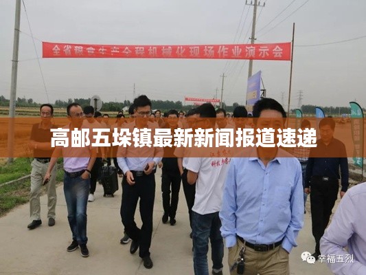 高郵五垛鎮最新新聞報道速遞