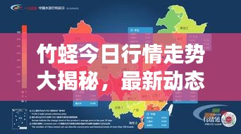 竹蟶今日行情走勢大揭秘，最新動態一網打盡