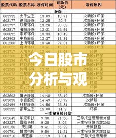 今日股市分析與觀察，最新動態(tài)，熱門板塊一網(wǎng)打盡