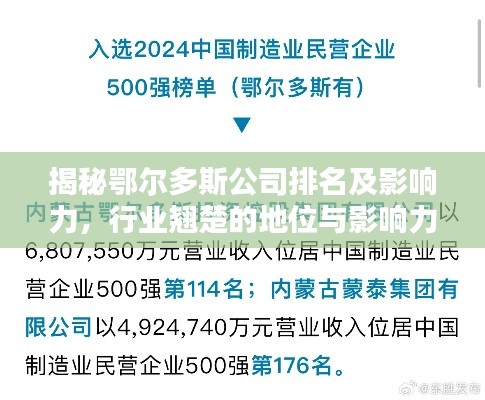 揭秘鄂爾多斯公司排名及影響力，行業翹楚的地位與影響力解析
