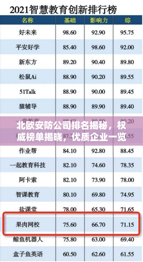 北歐安防公司排名揭秘，權威榜單揭曉，優質企業一覽無遺