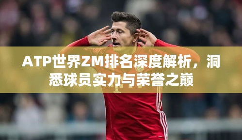 ATP世界ZM排名深度解析，洞悉球員實力與榮譽之巔