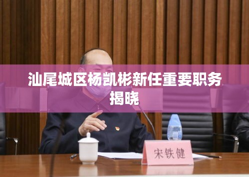 汕尾城區楊凱彬新任重要職務揭曉
