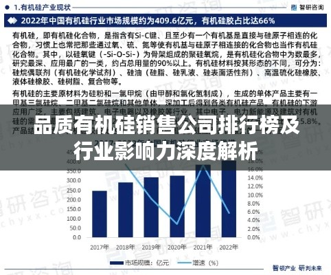品質有機硅銷售公司排行榜及行業影響力深度解析