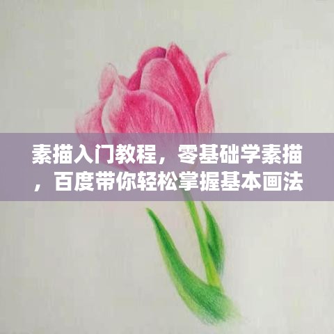 產品展示 第2頁