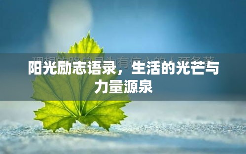 陽(yáng)光勵(lì)志語(yǔ)錄，生活的光芒與力量源泉