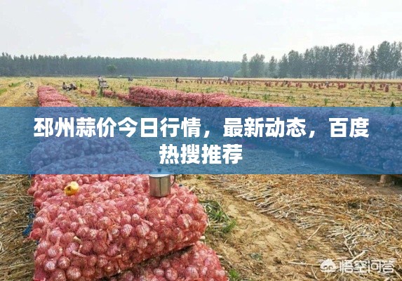 邳州蒜價今日行情，最新動態，百度熱搜推薦