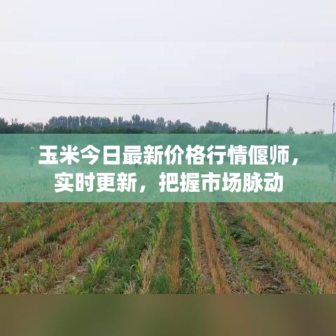 第6頁